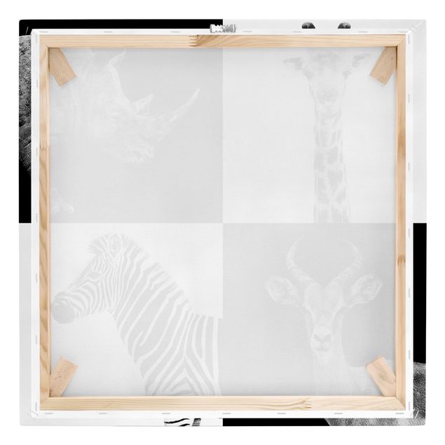 Print on canvas - Safari Quartet
