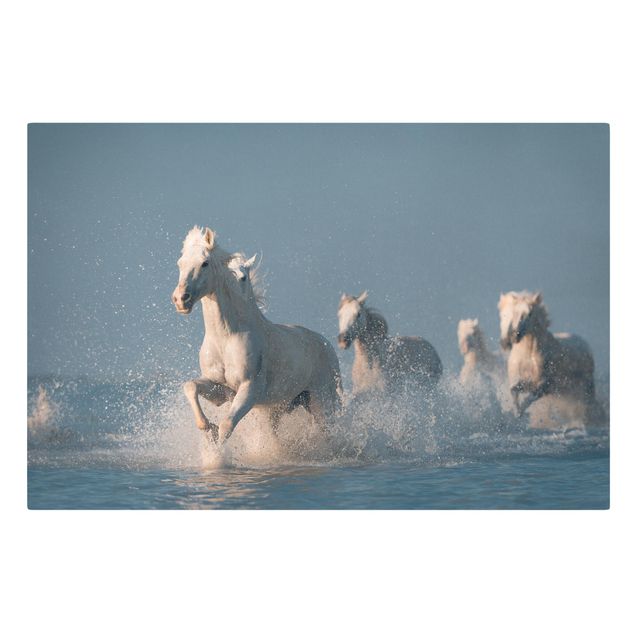 Print on canvas - Herd Of White Horses