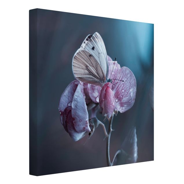 Print on canvas - Butterfly In The Rain