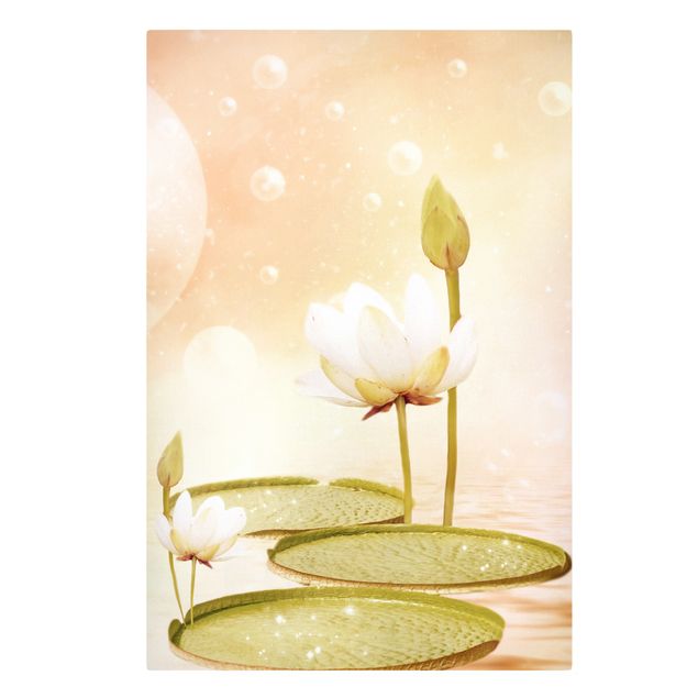 Print on canvas - Magical Water Lilies