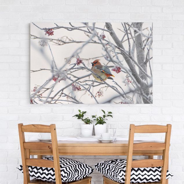 Print on canvas - Waxwing on a Tree
