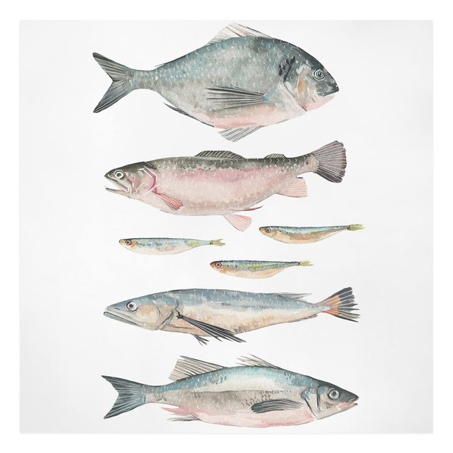 Print on canvas - Seven Fish In Watercolour II