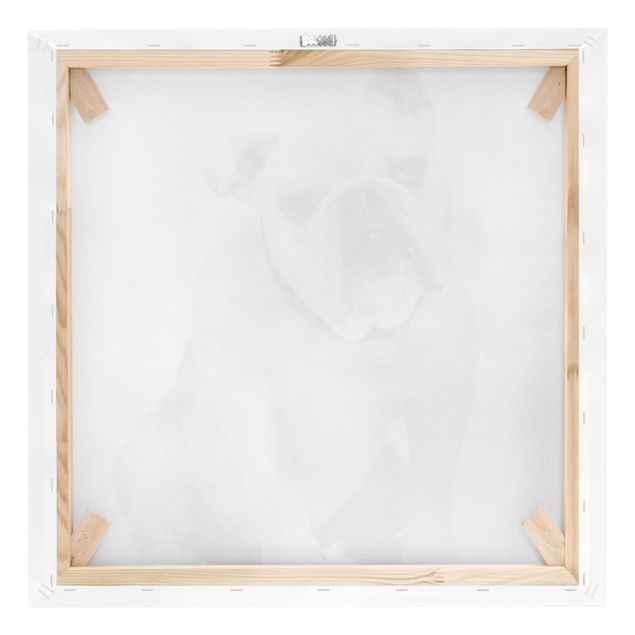Print on canvas - Skeptical Bulldog