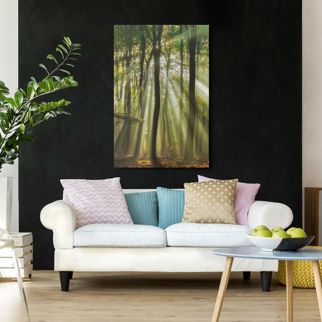 Print on canvas - Sunny Day In The Forest
