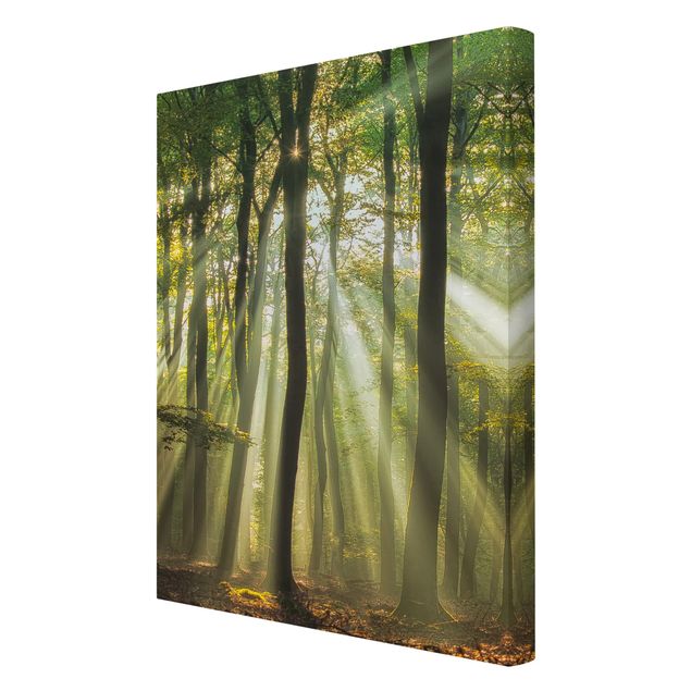 Print on canvas - Sunny Day In The Forest
