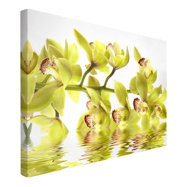 Print on canvas - Splendid Orchid Waters