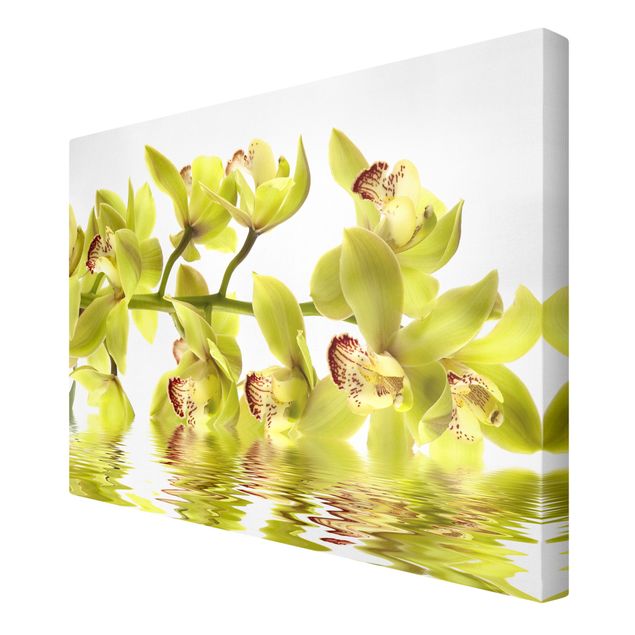 Print on canvas - Splendid Orchid Waters