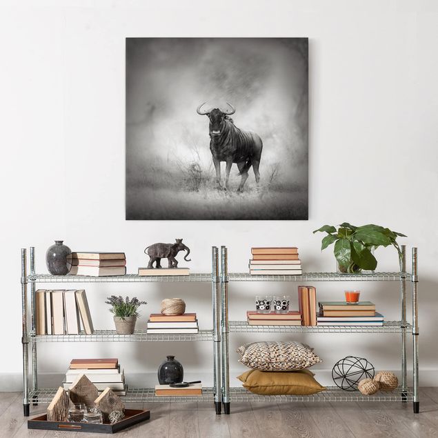 Print on canvas - Staring Wildebeest