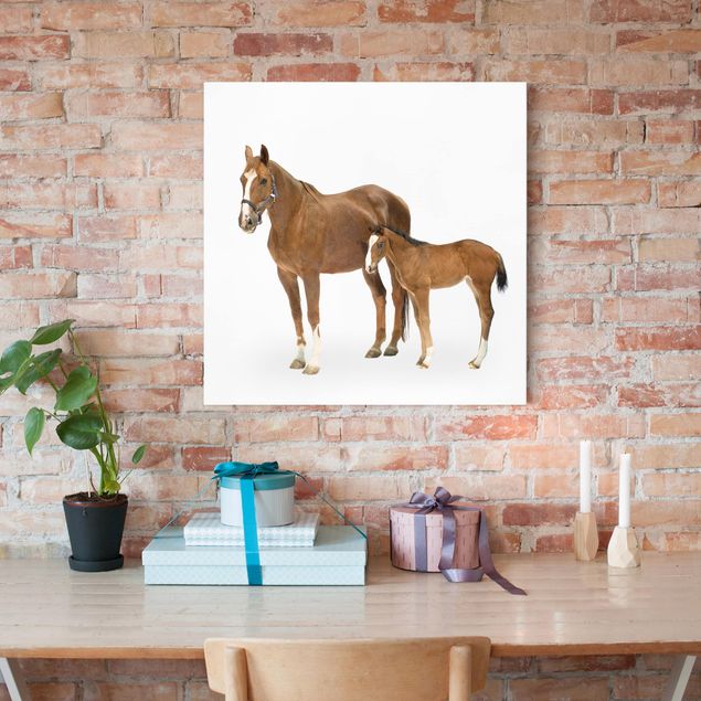 Print on canvas - Mare & Foal