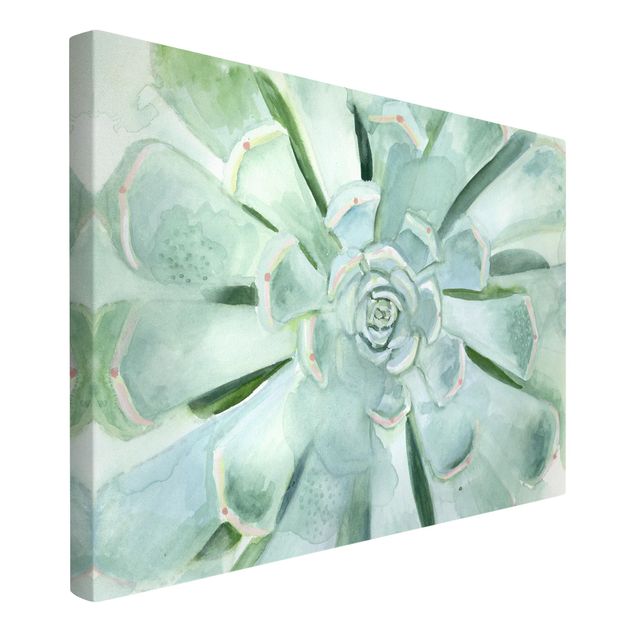 Print on canvas - Succulent Plant Watercolour Light Coloured