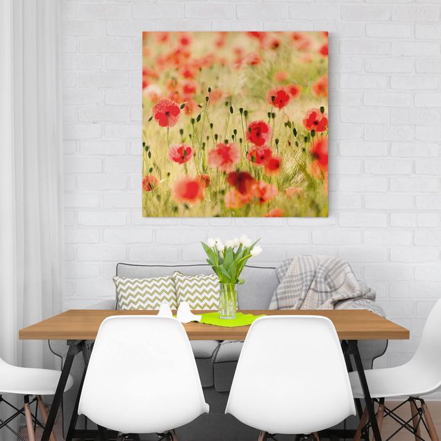 Print on canvas - Summer Poppies