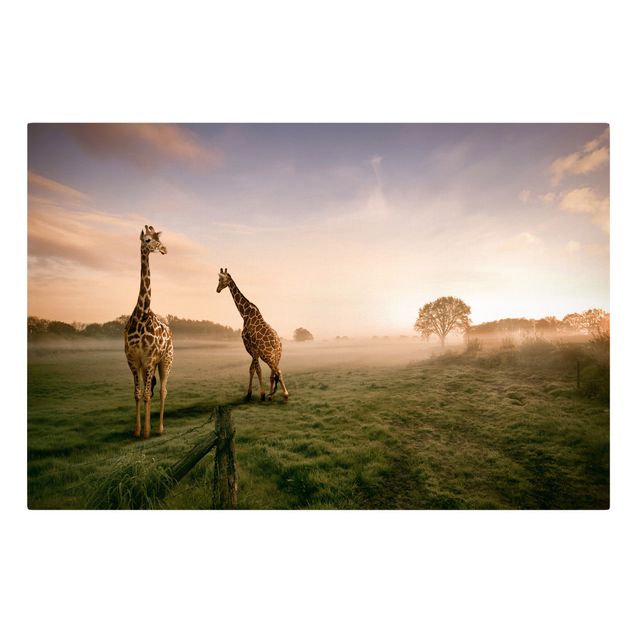Print on canvas - Surreal Giraffes