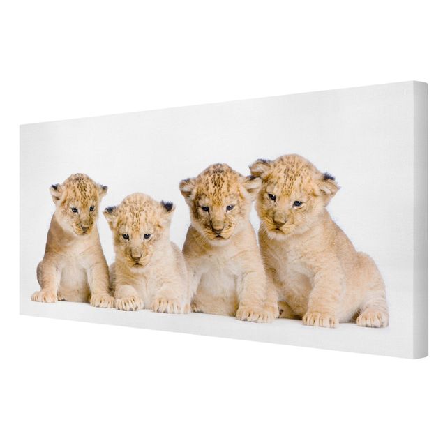 Print on canvas - Sweet Lion Babys