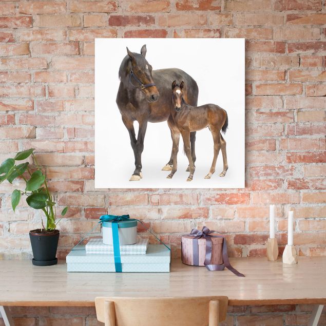 Print on canvas - Trakehner Mare & Foal