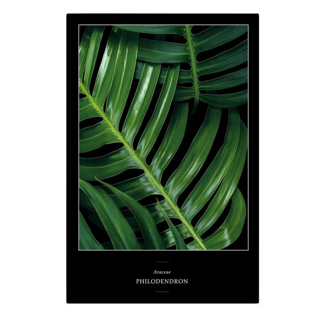 Print on canvas - Tropical Leaves Philodendron