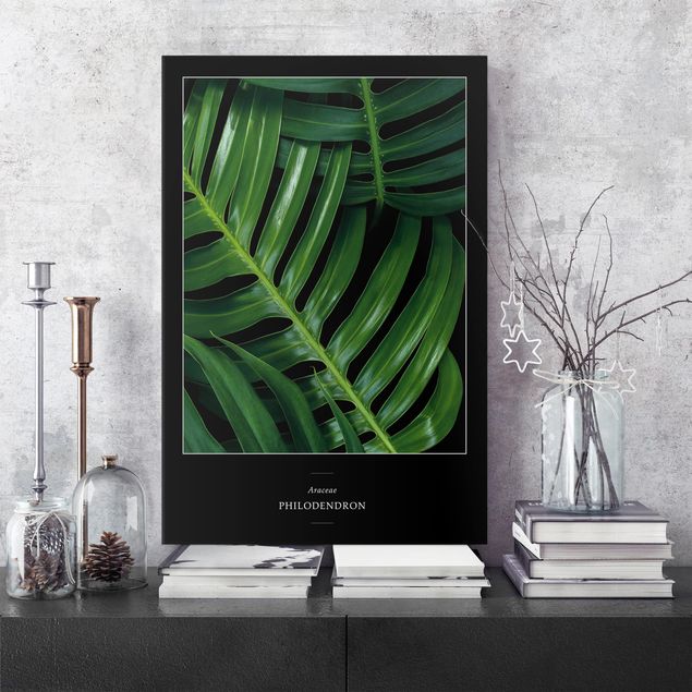 Print on canvas - Tropical Leaves Philodendron