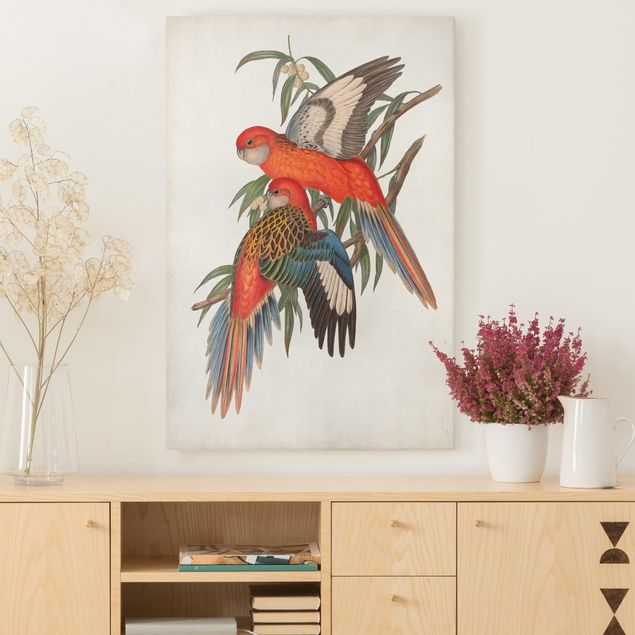 Print on canvas - Tropical Parrot I