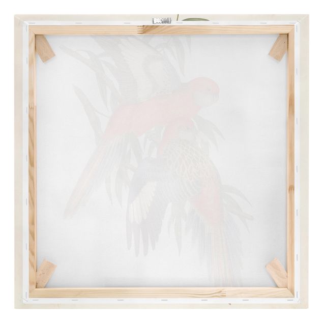 Print on canvas - Tropical Parrot I