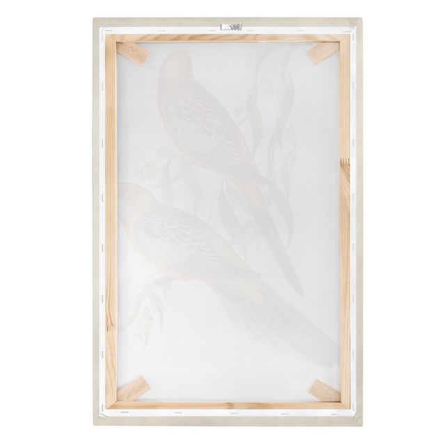 Print on canvas - Tropical Parrot II