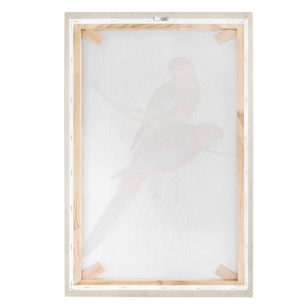 Print on canvas - Tropical Parrot III