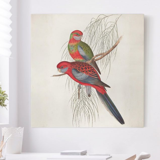 Print on canvas - Tropical Parrot III