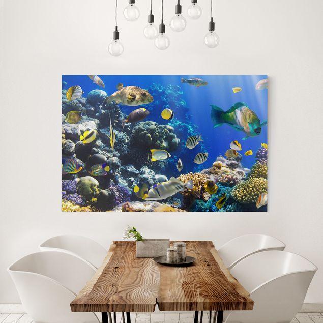 Print on canvas - Underwater Reef