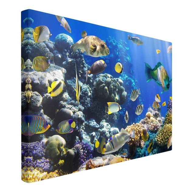 Print on canvas - Underwater Reef