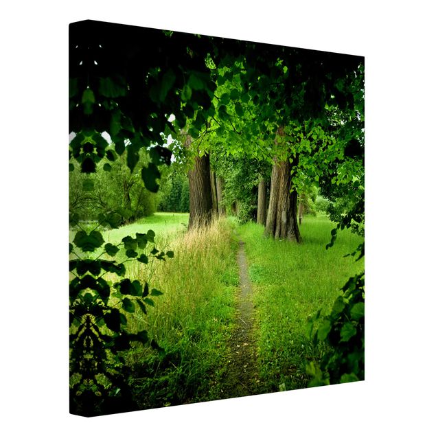 Print on canvas - Hidden Clearing
