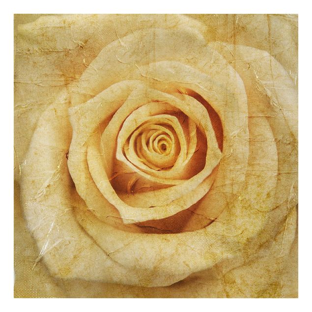 Print on canvas - Vintage Rose