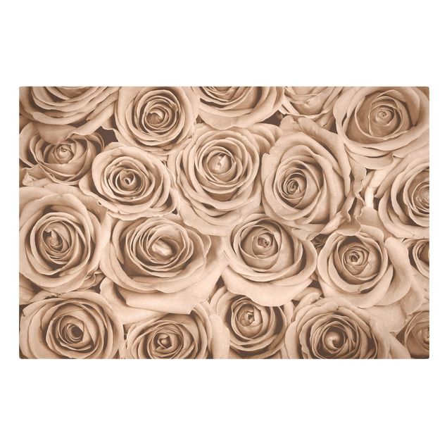 Print on canvas - Vintage Roses
