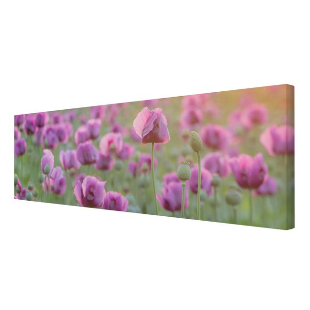 Print on canvas - Purple Poppy Flower Meadow In Spring