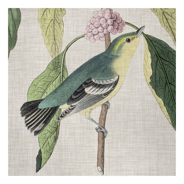 Print on canvas - Bird On Linen Pink I
