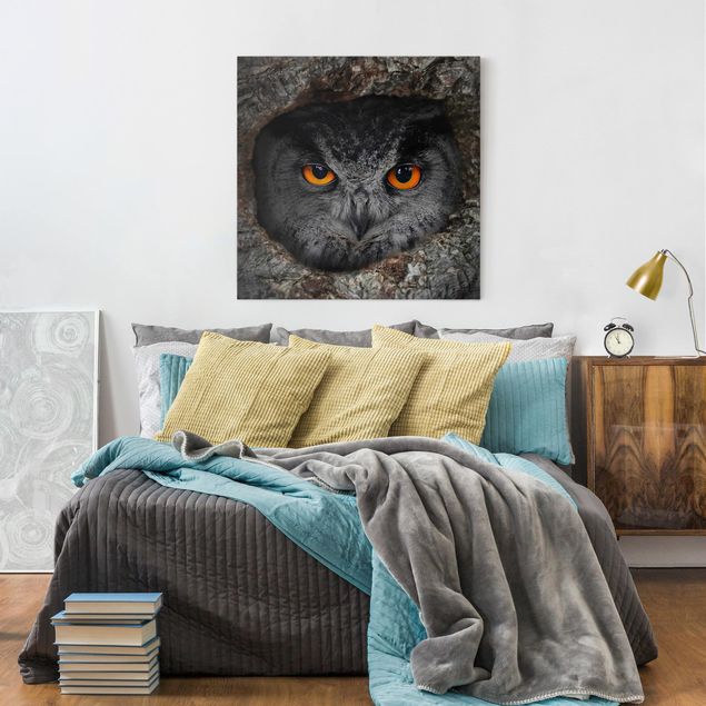 Print on canvas - Watching Owl