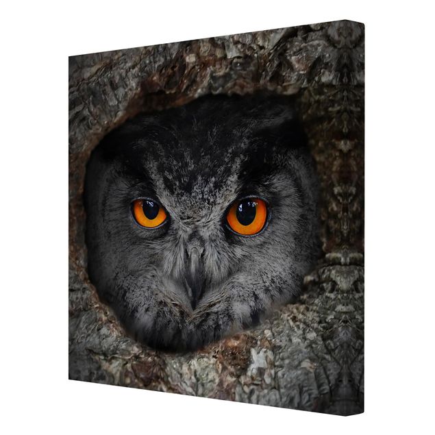 Print on canvas - Watching Owl