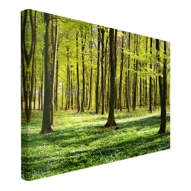 Print on canvas - Forest Meadow