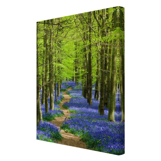 Print on canvas - Trail in Hertfordshire
