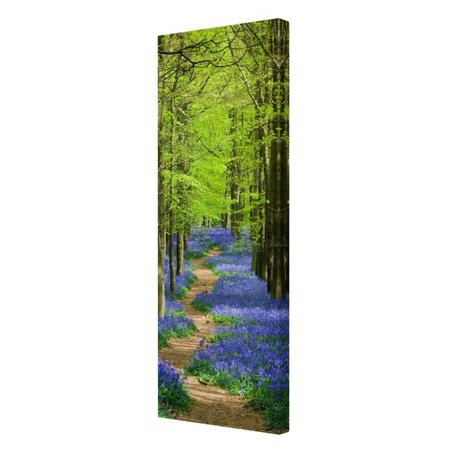 Print on canvas - Trail in Hertfordshire