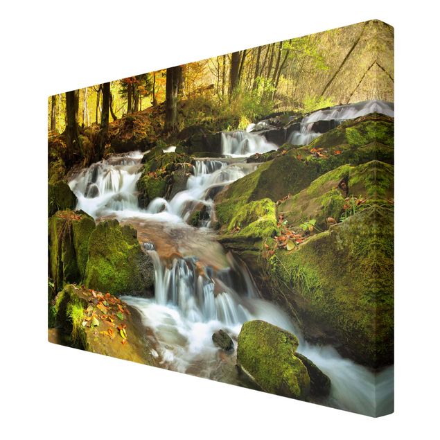 Print on canvas - Waterfall Autumnal Forest