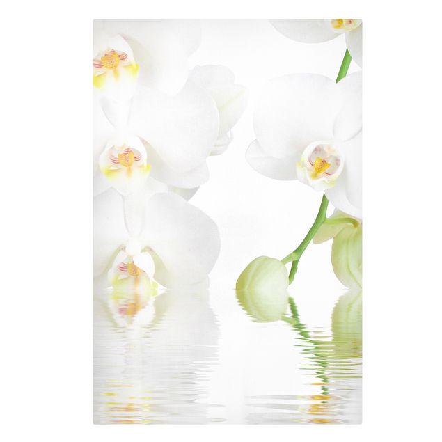 Print on canvas - Spa Orchid - White Orchid