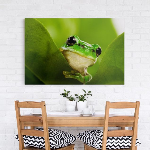 Print on canvas - Frog