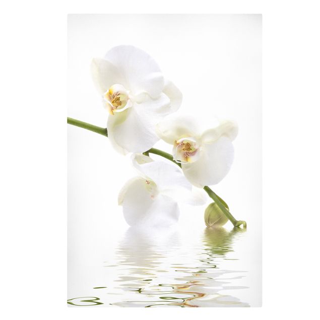 Print on canvas - White Orchid Waters