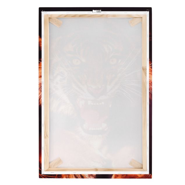 Print on canvas - Wild Tiger