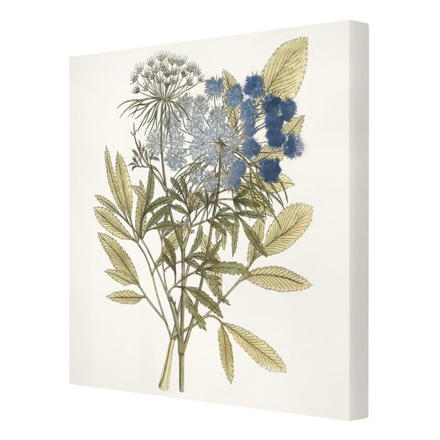 Print on canvas - Wild Herbs Board I