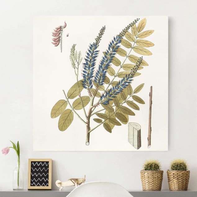 Print on canvas - Wild Herbs Board II