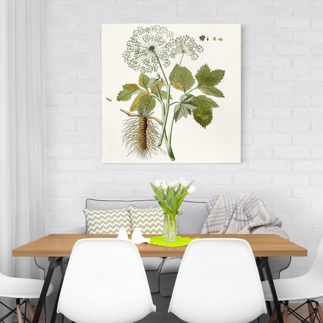 Print on canvas - Wild Herbs Board IV