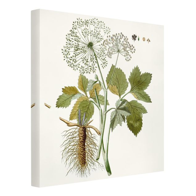 Print on canvas - Wild Herbs Board IV