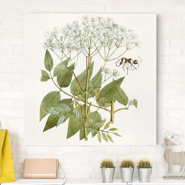 Print on canvas - Wild Herbs Board V