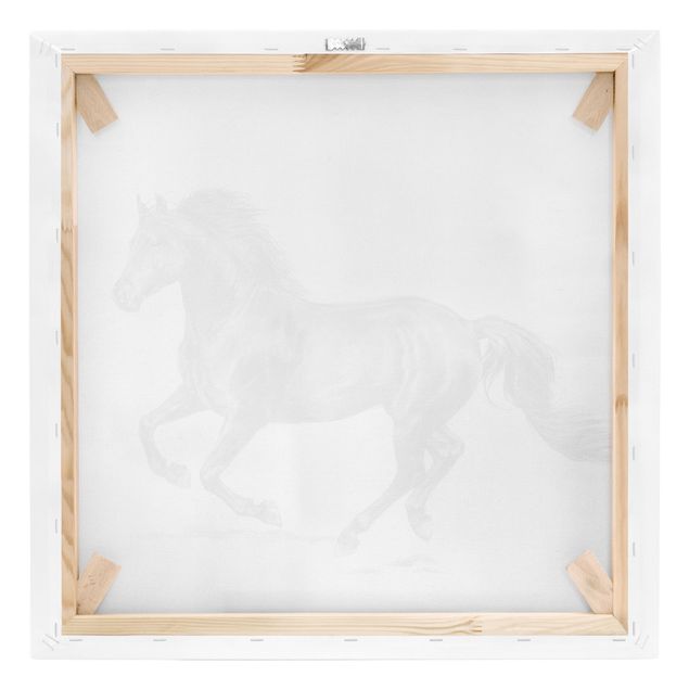 Print on canvas - Wild Horse Trial - Stallion