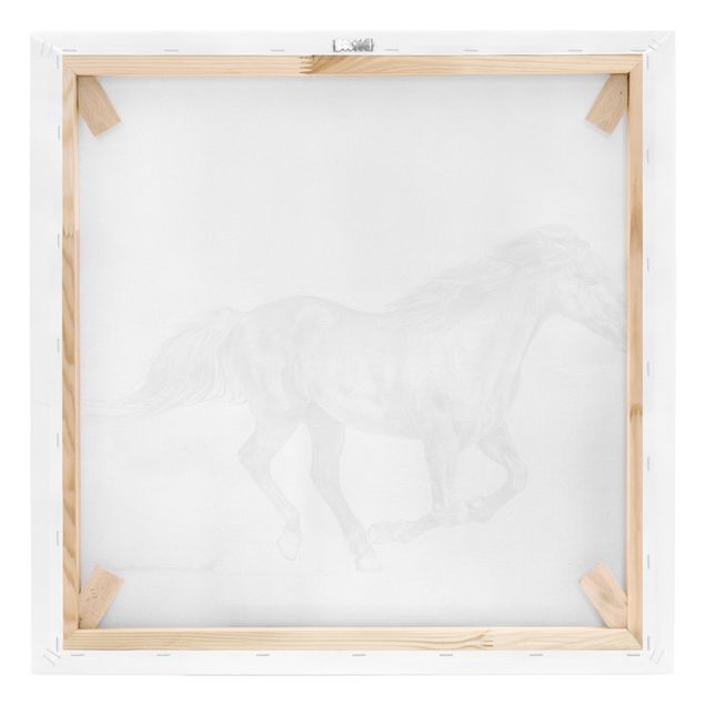 Print on canvas - Wild Horse Trial - Mare