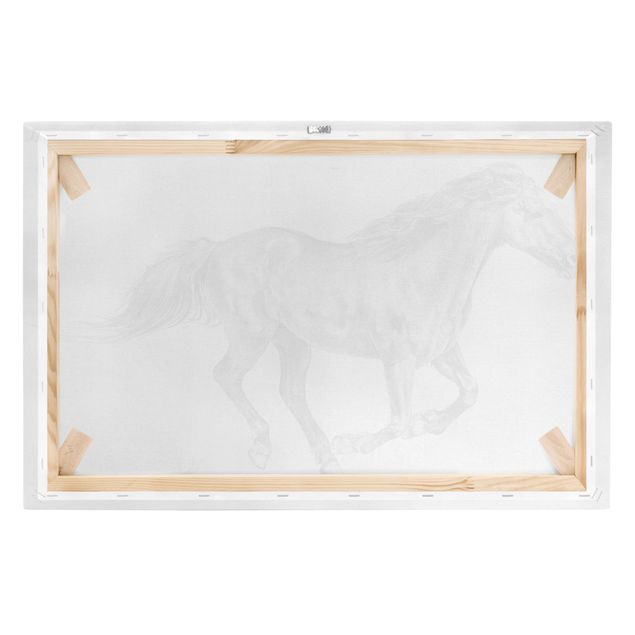 Print on canvas - Wild Horse Trial - Mare